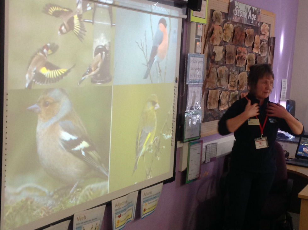 R.S.P.B visit to Primary Five