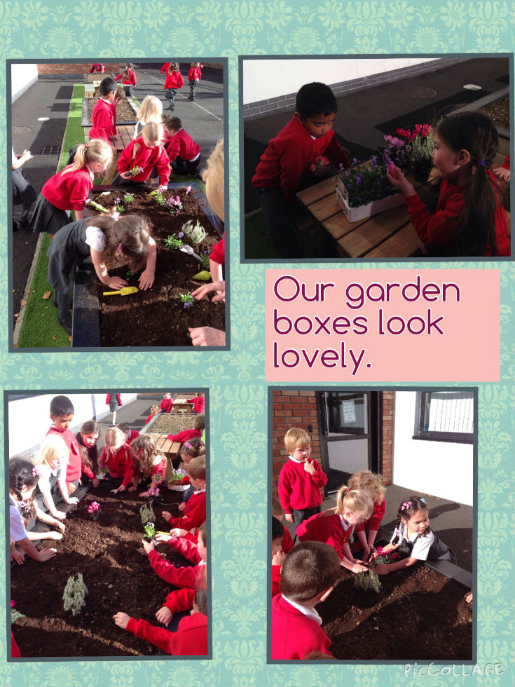 Look at P1 Gardening!