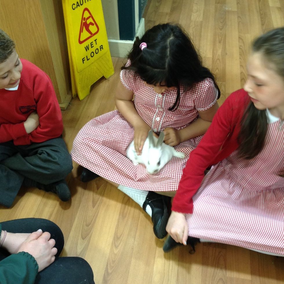 P4M Visit Pets At Home