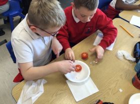 P5 Mummy Makers 🏺🍅